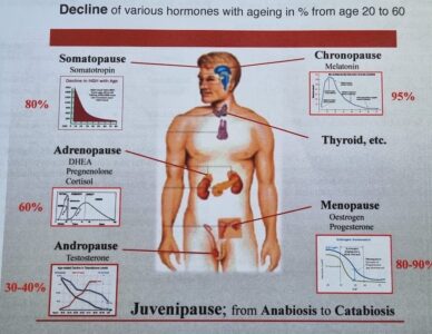 RAPAMYCIN for anti-aging