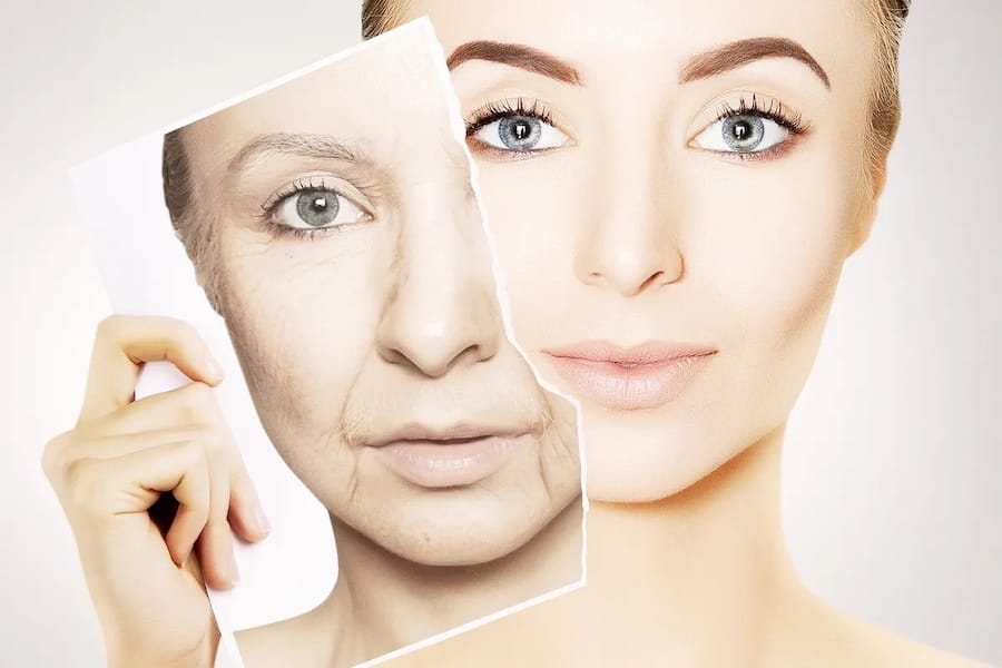 rapamycin for anti aging